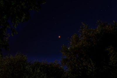 Low angle view of silhouette trees against sky at night