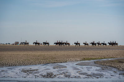 Group of people on beach against sky