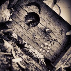 wood - material