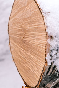 High angle view of wood