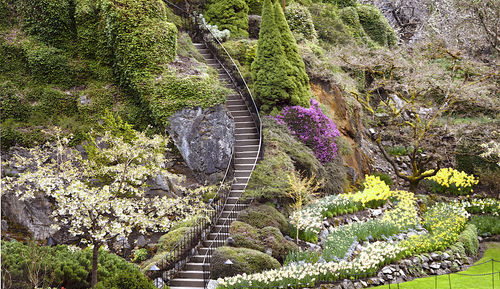 High angle view of plants growing on rocks