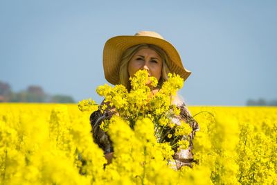 Scenic view of sunflower field against clear sky