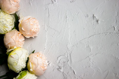 Close-up of rose petals