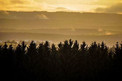 Silhouette trees against scenic sky