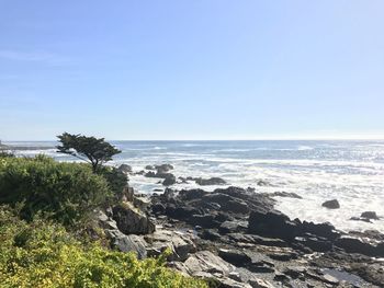 Scenic view of sea against clear sky