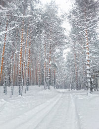 Panoramic view of snow covered land