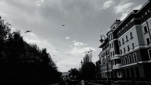 Low angle view of birds flying over city against sky