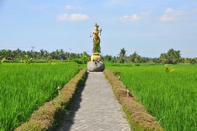 View of grassy field against sky