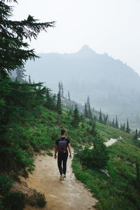 Rear view of man walking on footpath against mountain