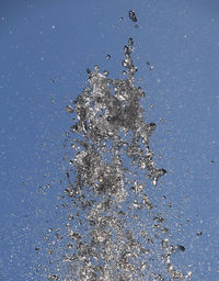 Close-up of water drops on black background