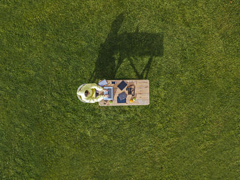 Aerial view of woman working on laptop at coffee table set on green lawn