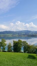 Scenic view of lake by field against sky