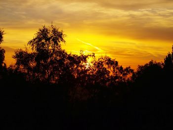 Low angle view of silhouette trees against sky during sunset