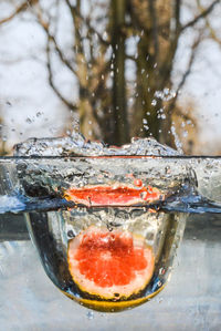 Close-up of fruit in splashing water