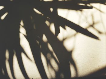 Shadow of sunlight falling on wall