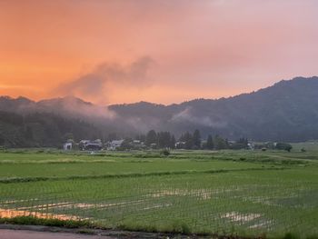 Scenic view of field against sky during sunset