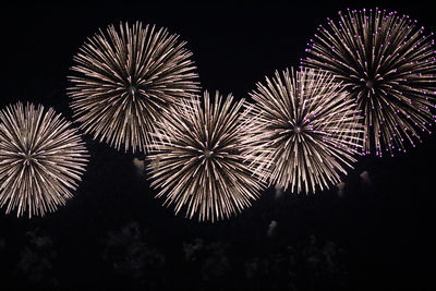 Low angle view of firework display at night