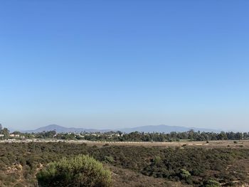 Scenic view of landscape against clear blue sky