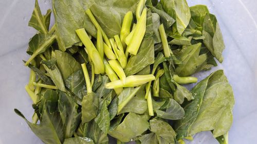 High angle view of vegetables