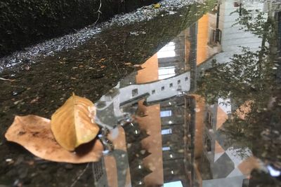 High angle view of reflection in puddle