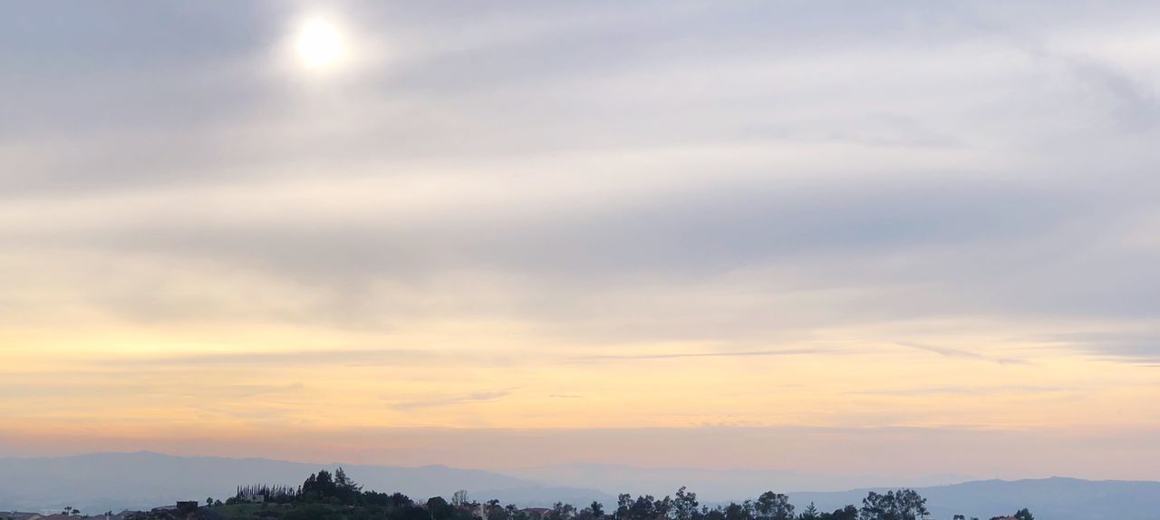 LOW ANGLE VIEW OF SILHOUETTE TREES AGAINST SKY