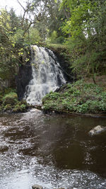 Scenic view of waterfall in forest