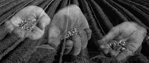 High angle view of people on street