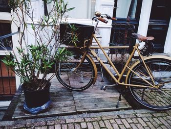 Potted plants in front of building