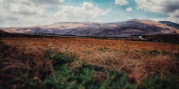 Surface level of land against sky