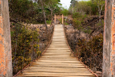 Wooden footbridge amidst trees in forest