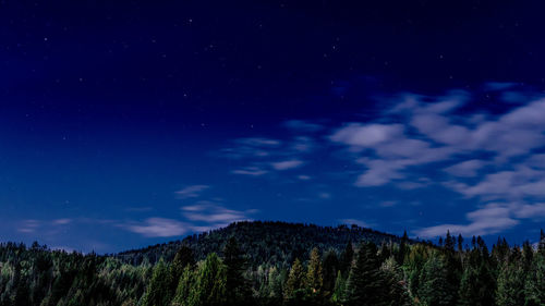 Scenic view of forest against sky at night