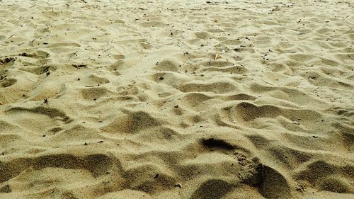 Full frame shot of sandy beach