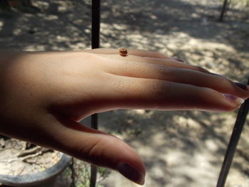 Close-up of cropped hand