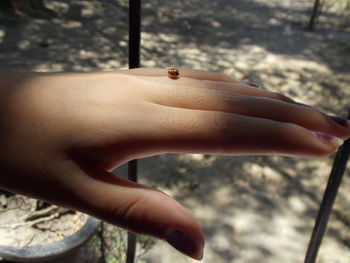 Close-up of cropped hand