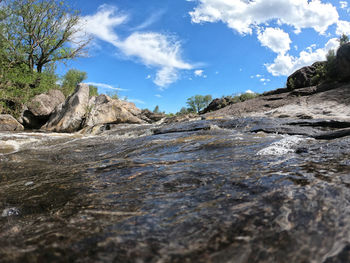 Surface level of rock formation amidst trees against sky