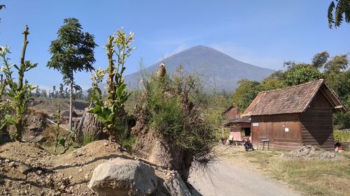 Panoramic shot of trees and houses against sky