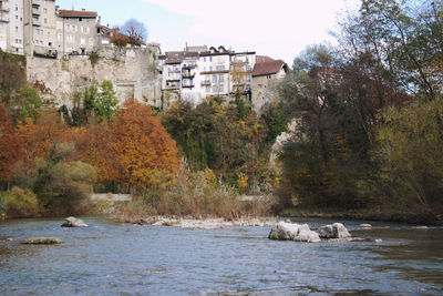 Scenic view of river amidst trees and buildings
