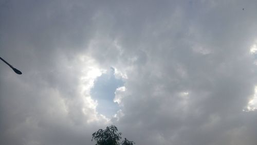 Low angle view of trees against sky