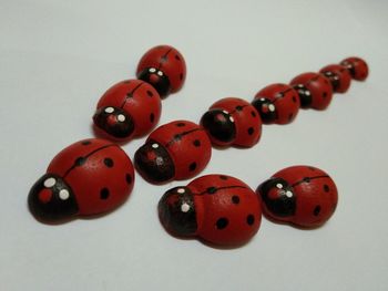 Close-up of red buttons against white background