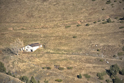 High angle view of horse on field. country house in andorra. pyrenees mountains.