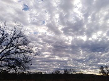 Silhouette bare trees on field against sky