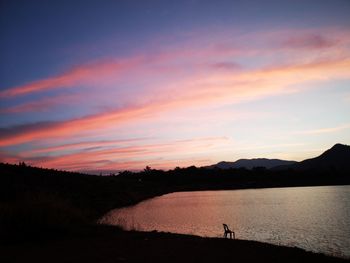 Silhouette person on beach against sky during sunset