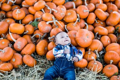 High angle view of baby boy lying by pumpkins
