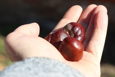 Close-up of hand holding strawberries