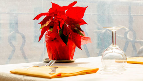 Close-up of red rose in vase on table