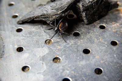 Full frame shot of rusty metal