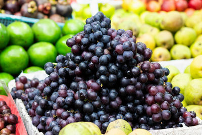 Close-up of grapes growing in vineyard