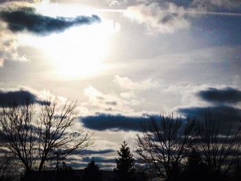 Low angle view of trees against cloudy sky