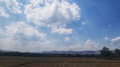 Scenic view of agricultural field against sky