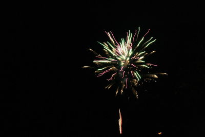 Low angle view of firework display against sky at night